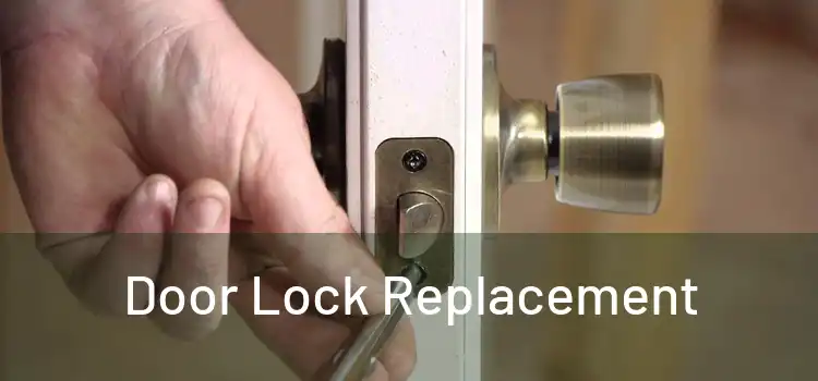  Door Lock Replacement 